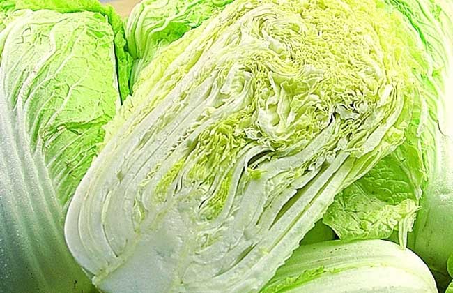 白菜的營養(yǎng)價(jià)值你知多少 白菜的作用