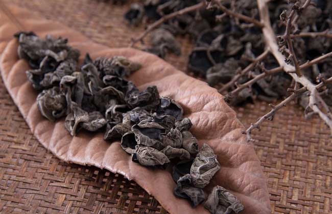 木耳的種類及圖片大全 木耳種植管理方法