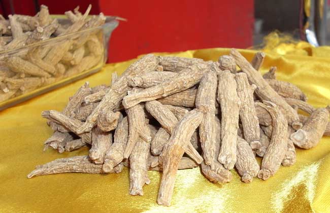 高麗參與西洋參的區(qū)別 中藥材種植技術