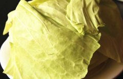 卷心菜能生吃嗎？