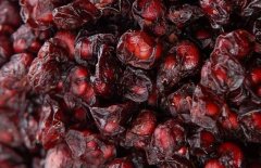 五味子的品級(jí)是如何劃分的?五味子的炮制方法