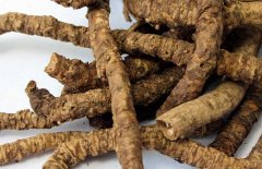 黃連、黃芩、黃柏的區(qū)別