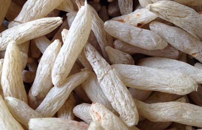 麥冬種類圖片 麥冬種類圖片