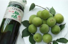 怎樣自制梅子酒？介紹梅子酒的做法