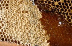 孕婦可以喝蜂蜜嗎？孕婦喝蜂蜜水有什么好處