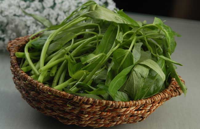 空心菜的功效與作用 空心菜的營(yíng)養(yǎng)價(jià)值