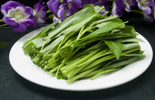 空心菜的葉子能吃嗎 空心菜的營養(yǎng)價值