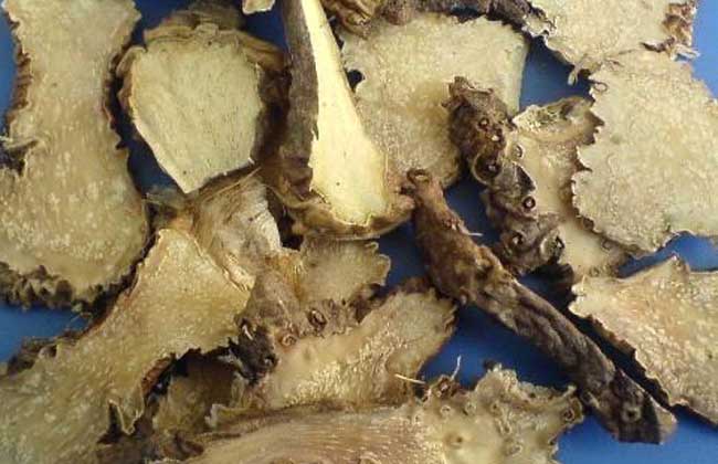 射干的食用方法 射干的食用方法