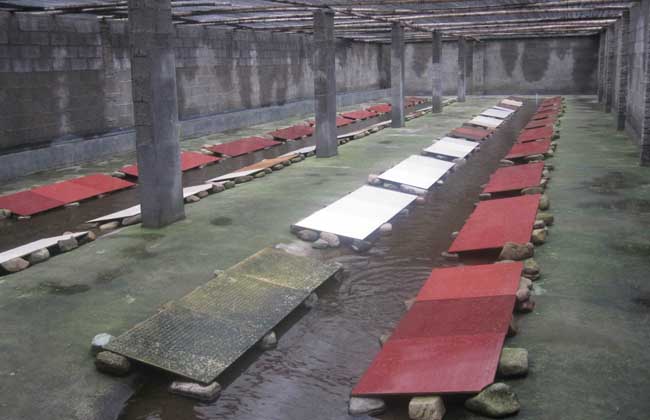 石蛙養(yǎng)殖池建設(shè)方法 石蛙養(yǎng)殖池建設(shè)方法