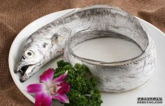 帶魚的產(chǎn)地、分布生活習(xí)性與品種分類