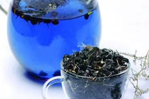 黑枸杞花青素含量 黑枸杞種植技術(shù)