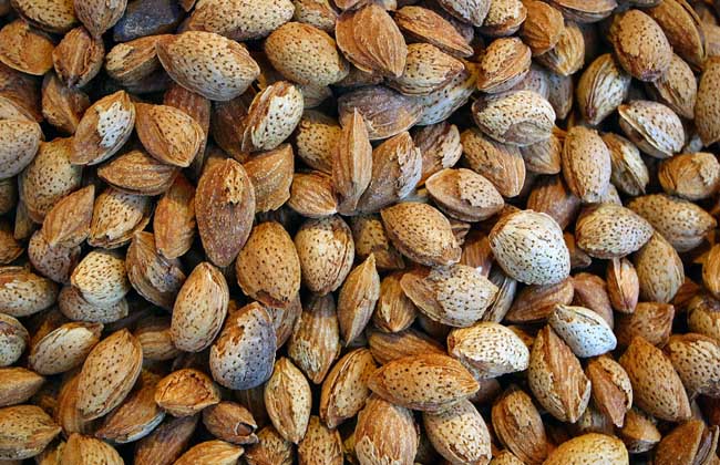 杏仁的做法大全 杏仁的功效與作用