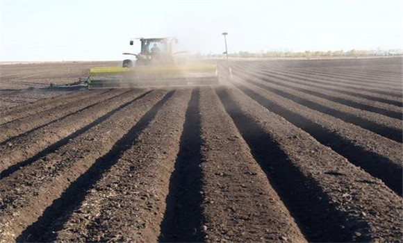 細致整地、起壟