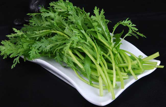 孕婦能吃茼蒿嗎? 孕婦能不能吃茼蒿