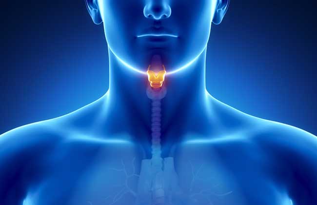 中藥材的知識(shí)