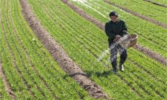 小麥肥料哪個好,肥料在小麥種植中的作用