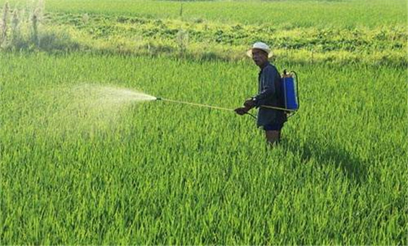 改善施用方法，減少土壤殘留量