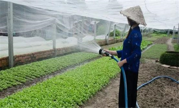 改進灌溉技術(shù)，以水化鹽