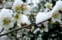 小寒節(jié)氣是什么意思？小寒節(jié)氣的氣候特征