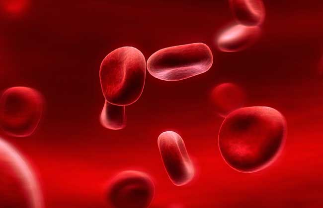 熊貓血是什么血型 熊的功效與作用