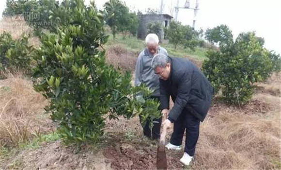 開溝施肥技術(shù)要點