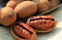 碧根果怎么挑選？碧根果的選購(gòu)指南