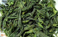 六安瓜片什么時(shí)候上市