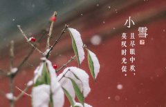 小雪節(jié)氣是什么意思，小雪節(jié)氣吃什么食品？