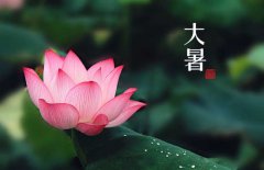 大暑是幾月幾日，大暑的節(jié)日民俗的哪些？