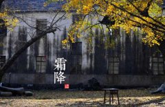 寒露是什么意思，寒露的氣候特征有哪些？