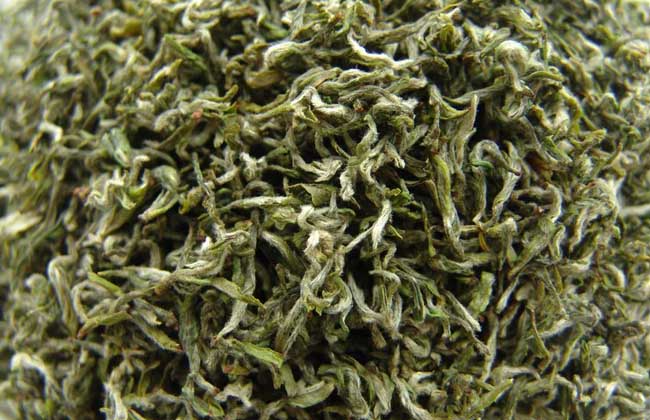 碧螺春是綠茶嗎? 生活常識(shí)