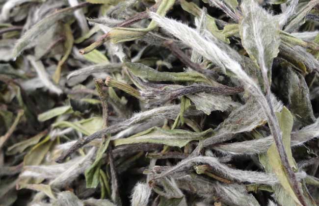 白茶的制作工序流程 生活常識(shí)