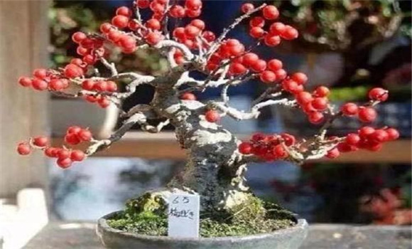 資源豐富，便于生產(chǎn)