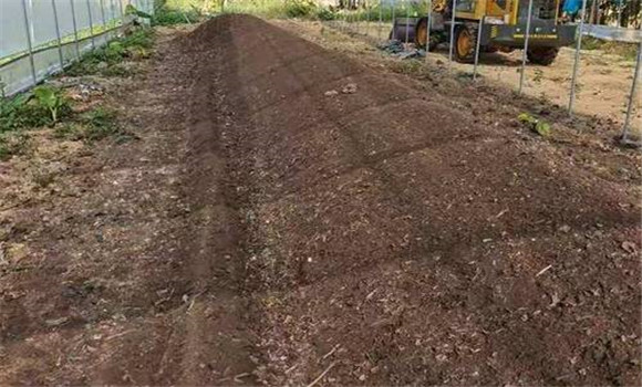 基、追肥分配比例要合理