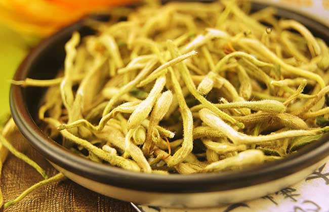 花茶的搭配功效大全 生活常識(shí)