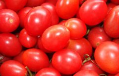 孕婦可以吃圣女果嗎？