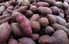 糖尿病人能吃紅薯嗎？