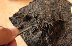 喝普洱茶能減肥嗎？