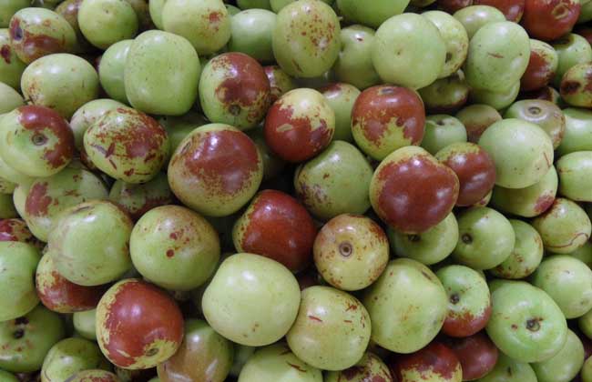 經(jīng)期能吃紅棗嗎? 生活常識