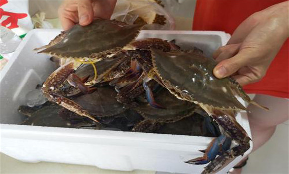 螃蟹屬于海鮮嗎？