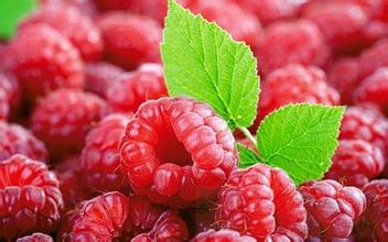 吃覆盆子的注意事項(xiàng) 覆盆子的功效與作用
