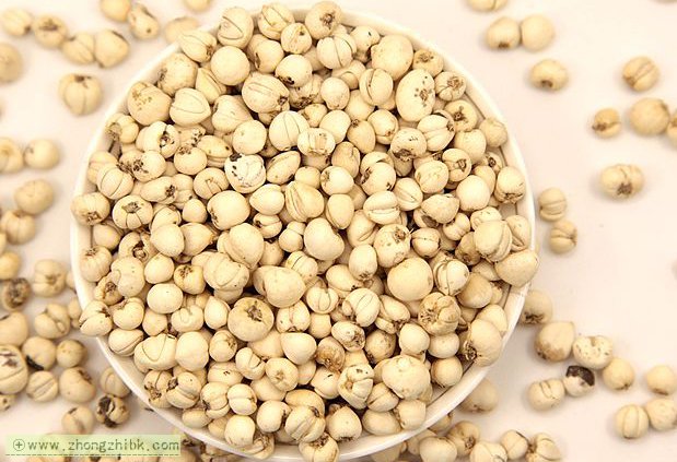 川貝母的功效與作用