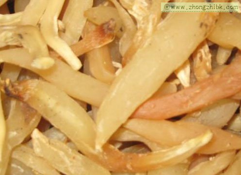 天門冬的功效與作用 天門冬的醫(yī)療功效 天門冬的作用