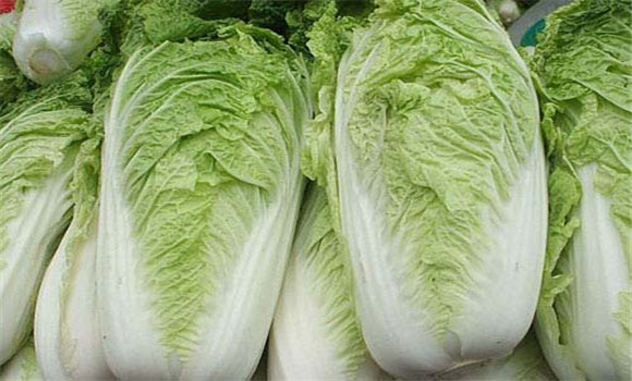 白菜的營養(yǎng)價(jià)值和功效