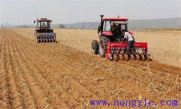 小麥種植技術(shù)與管理、施肥