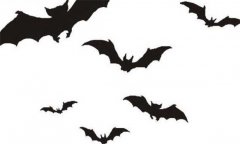 蝙蝠有毒嗎，蝙蝠到底有沒有毒？