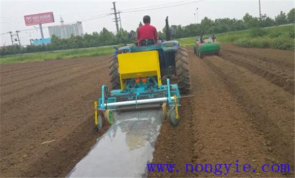 選地、整地及施肥