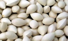 白果的功效與作用及食用方法、禁忌