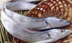 帶魚發(fā)黃能吃嗎？帶魚表面發(fā)黃的原因是什么