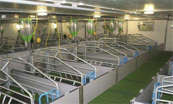 規(guī)?；B(yǎng)豬場